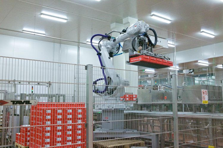 14-4-tavil-palletizer1.jpg