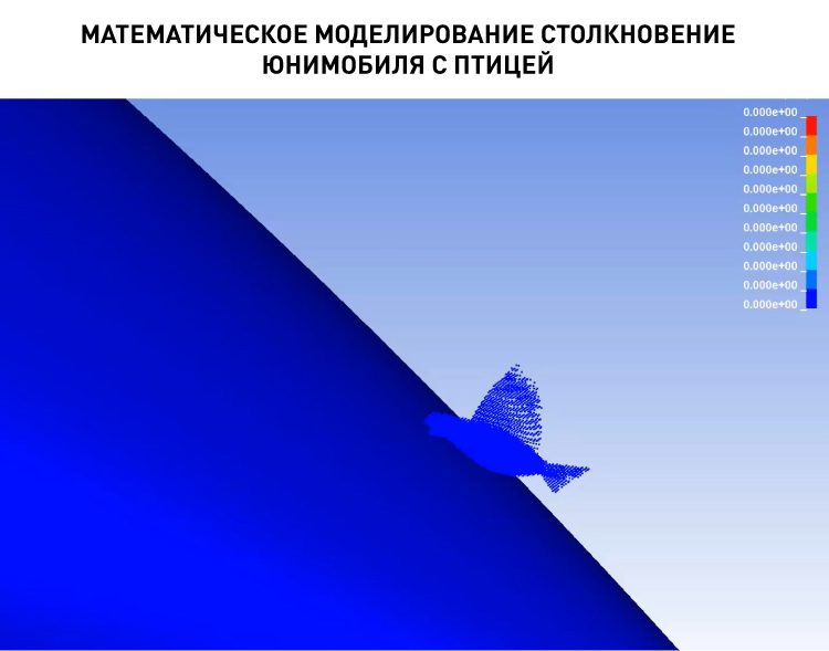 18388_P03_Математическое моделирование столкновение юнимобиля с птицей.jpg