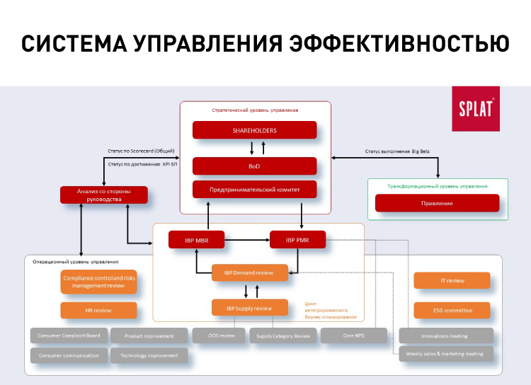 сплат_1.jpg